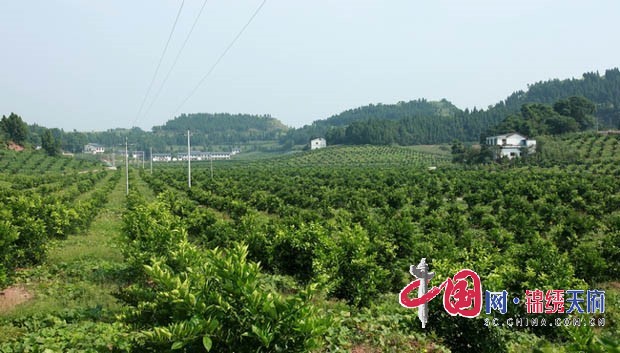 永安綠色生態(tài)產業(yè).jpg