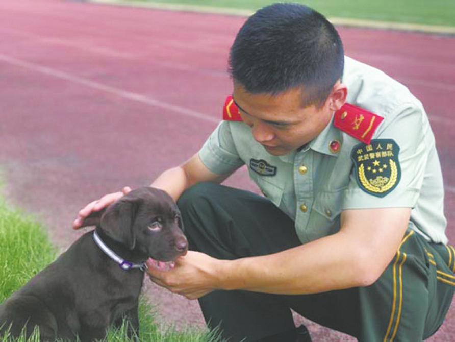 成都夫婦捐狗：希望它成為搜救犬