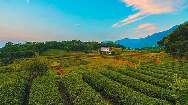 敘永縣著力打造農(nóng)旅共融的“綠色新村”(圖)